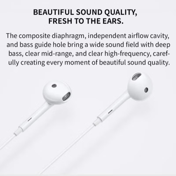 0000 – 2025-12-30T145204.275